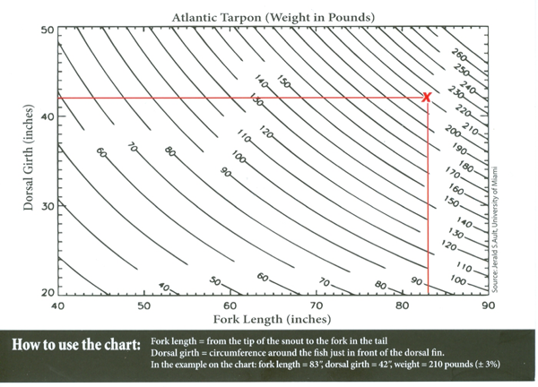 Bonefish Length Weight Chart