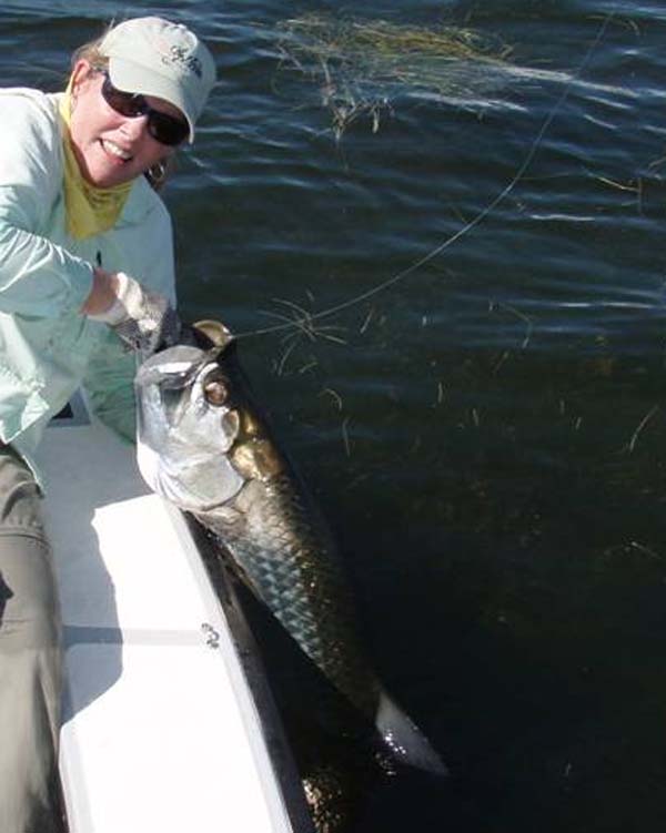 Cindy with a big Everglades National Park tarpon ready for a safe in-water release.