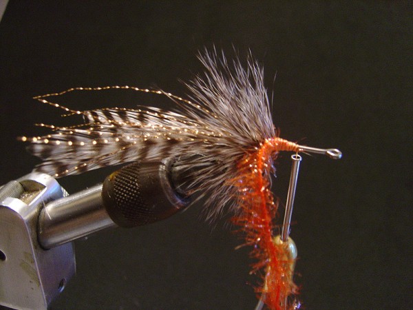 Step five: Tie in Orange Ice Chenille and palmer towards the eye of the hook and tie off. 