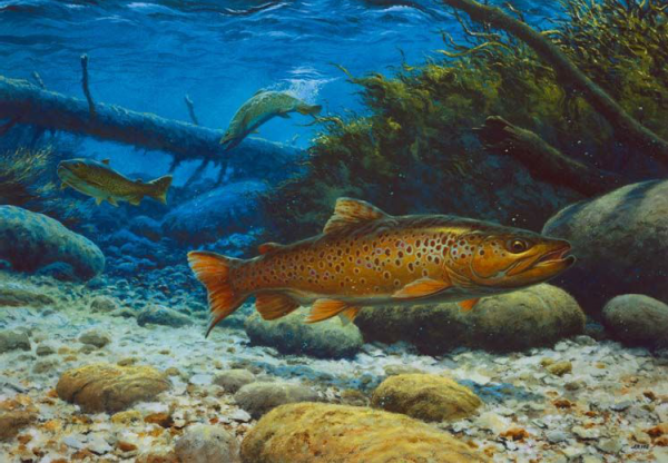 This stunning brown trout is the work of renowned outdoor artist John Rice.