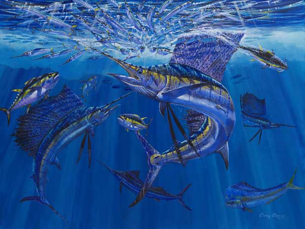 Friday Fish Frame: Rendezvous by Carey Chen