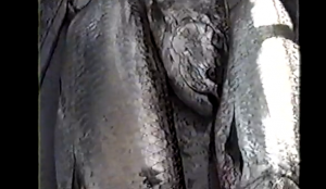Dead tarpon from Helldivers' video.