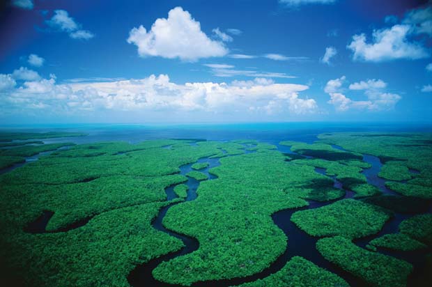 News: Everglades National Park hosting additional public meetings on long term vision for the park