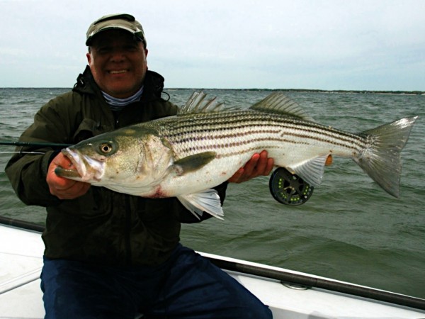 Happy angler with a beautiful flats bass taken with the 9-weight Legacy. (Photo by A Derr)