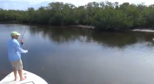 Video: TrueFlies snookin’ near Pine Island, FL