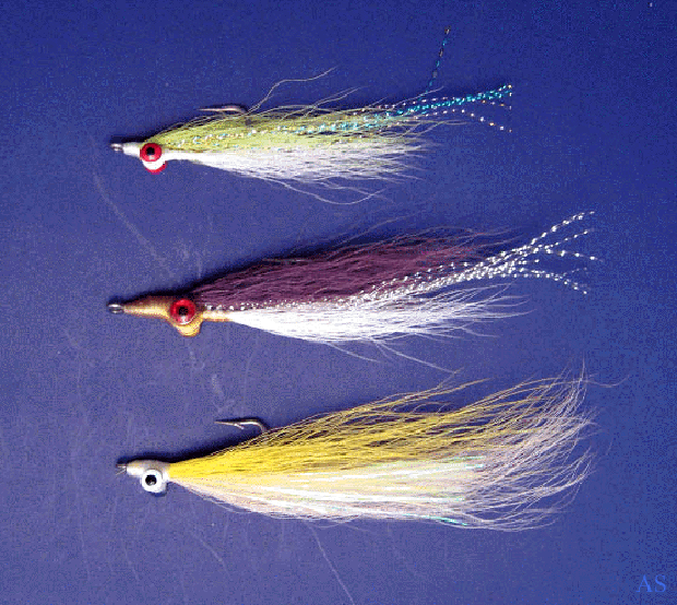 A Bob Clouser minow in a saltwater version. the variations on this fly too numerous to count.