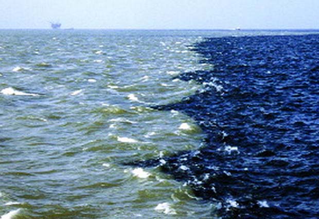 News: Massive Gulf dead zone signifies lack of action by EPA