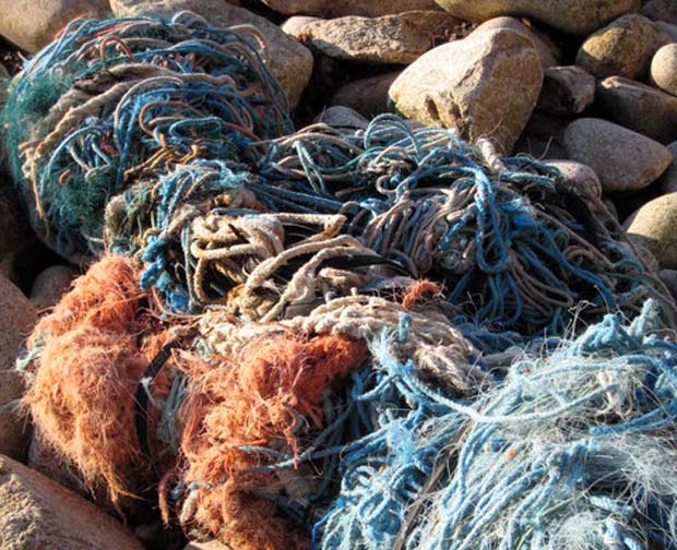 Conservation: Old fishing gear converted to energy