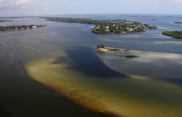 Conservation: Saving Florida’s Indian River Lagoon