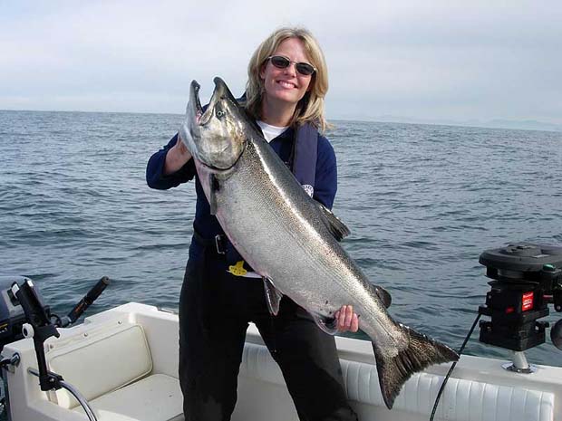 News: More than a million king salmon come home