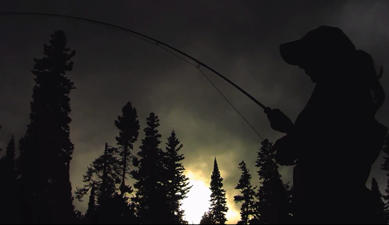 Video: Dry fly fishing for Gaspe Atlantic Salmon