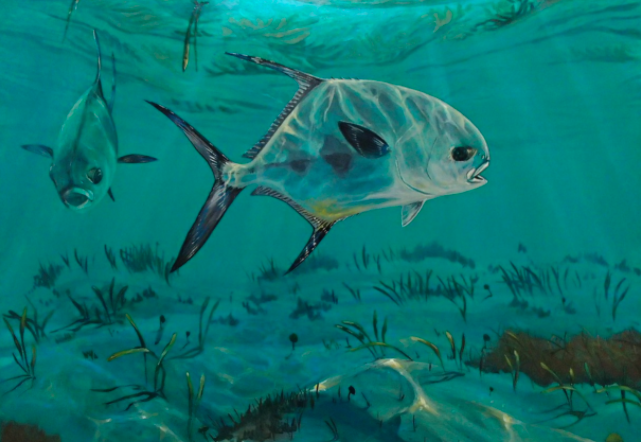 Friday Fish Frame: Jorge Martinez