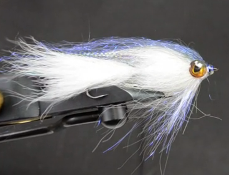 Video: Richard Strolis’ Articulated Baitfish fly is a keeper
