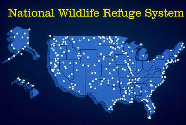 News: Wildlife Refuges generate more than $2BN a year