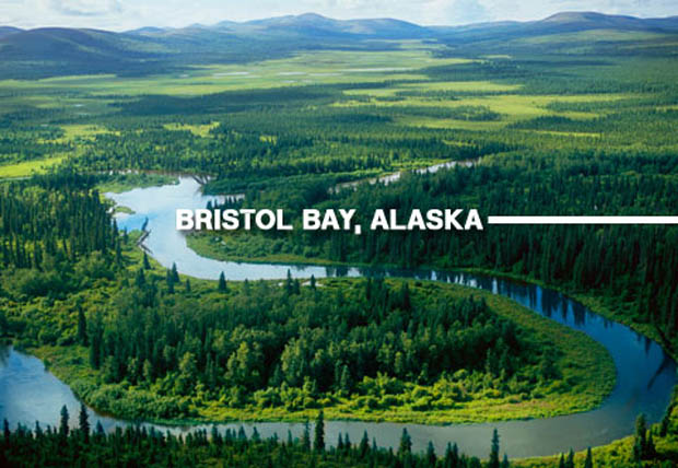 Conservation: Bristol Bay United, new group to protect bay and wildlife
