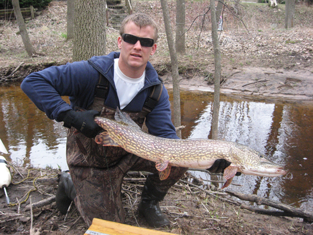 University of Wisconsin researcher Dan Oele with a big northern pike from a small spawning stream.