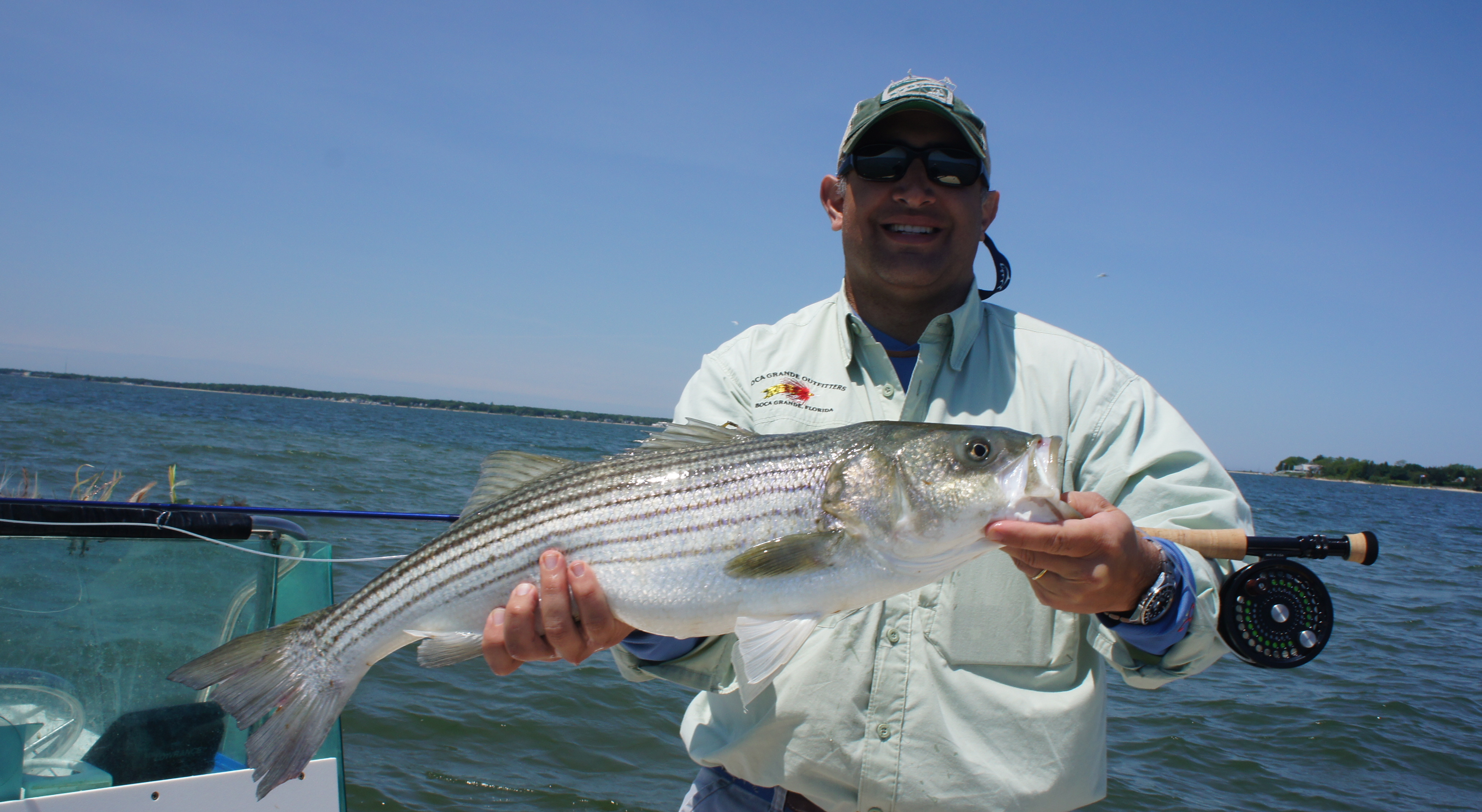 Conservation: With striped bass- pro-harvest vs. precaution - Fly