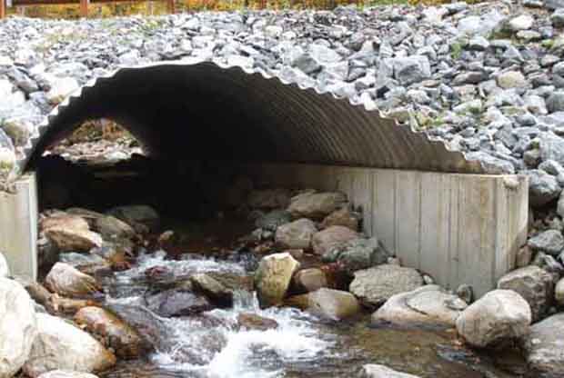 Conservation: 1000 Miles Campaign- reconnecting rivers via. culverts