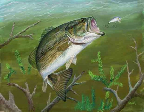 Friday Fish Frame: Meet artist Duane Raver - Fly Life Magazine