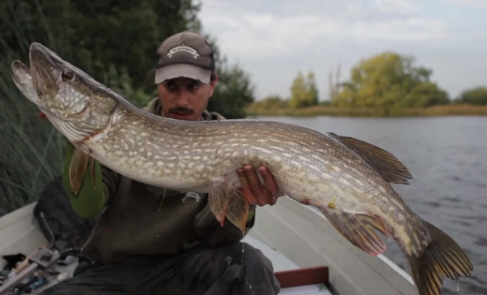Video Roundup: 8 Permit, 4 Days,  Prosek’s Eli the Eel, River Fishing 2