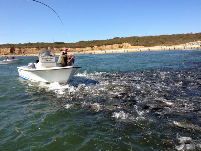 News: Vision for managing America’s saltwater recreational fisheries
