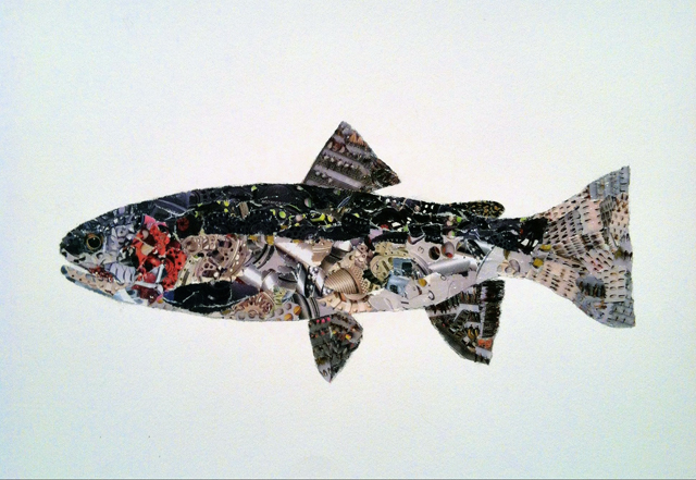 Friday Fish Frame: Trout collages by Rachel Finn