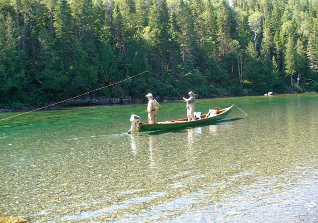 News: Reimagining Didymo in Canadian salmon rivers