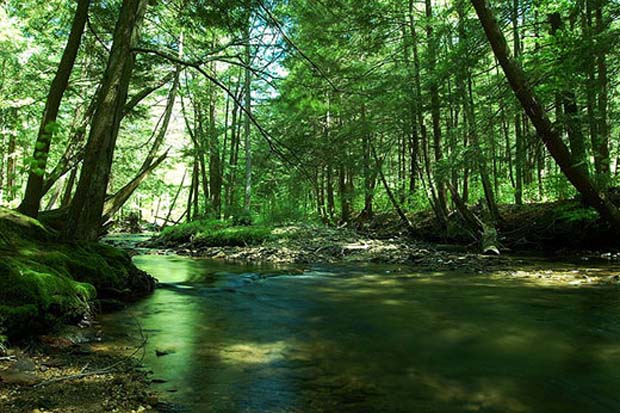 Conservation: Clean Water Act threatened by congressional vote
