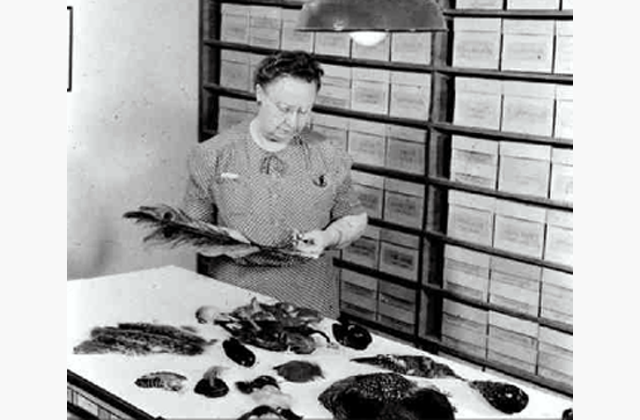 The Series: Important women in the history of fly fishing; Hallie Thompson Galaise