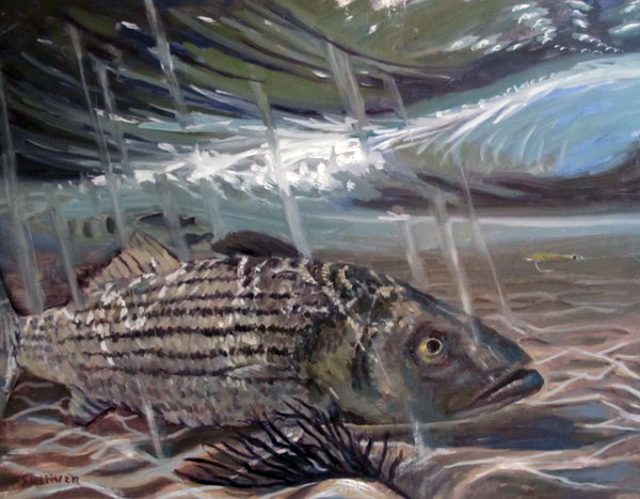 Conservation: Maryland seeks to slow striped bass recovery