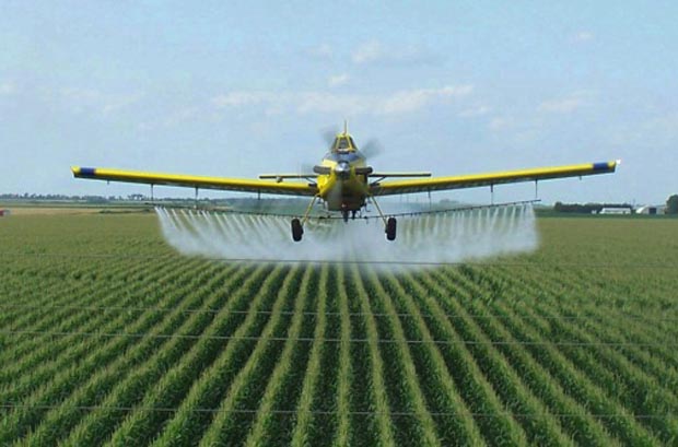 News: New neonicotinoid insecticides – scary stuff