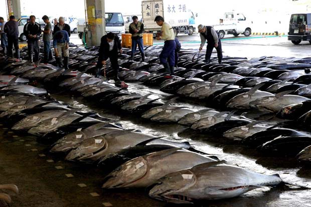 Opinion: U.S. ignores its own limits on fishing for bigeye tuna