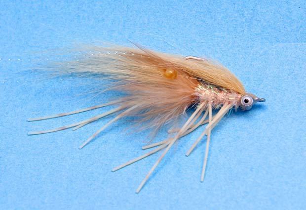 At The Vise With Drew Chicone: The Pomp-adore Shrimp