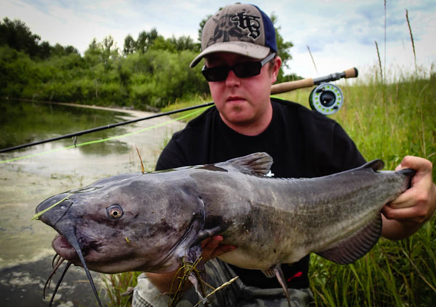 Feature: Catfish are the cat's meow - Fly Life Magazine