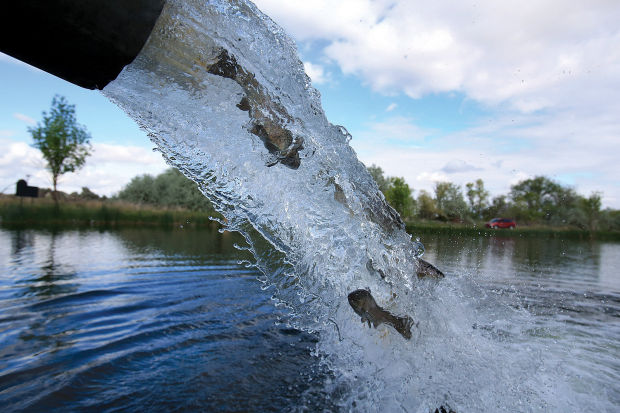 News: What is the hidden cost of trout fishing?