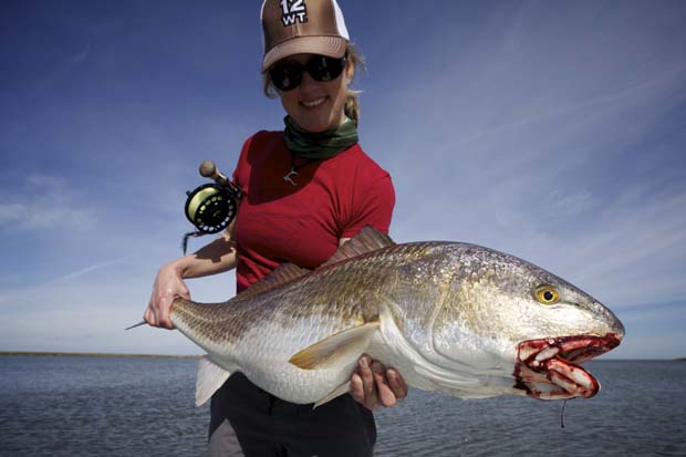 Video: Fall redfish on the spawn…