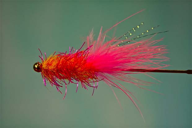 Fly Tying: Jay Nicholas – the nice guy that helps you finish first