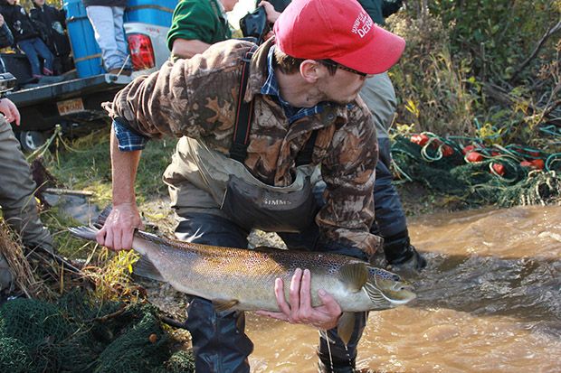 News: Rivernotes from Atlantic Salmon Federation. Season ends