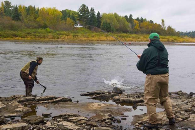 News: Atlantic Salmon Federation’s winners of live release photo contest