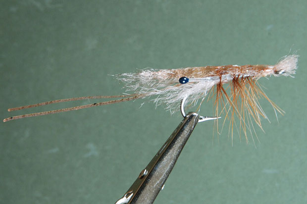 Video: An easy to tie and life-like shrimp pattern