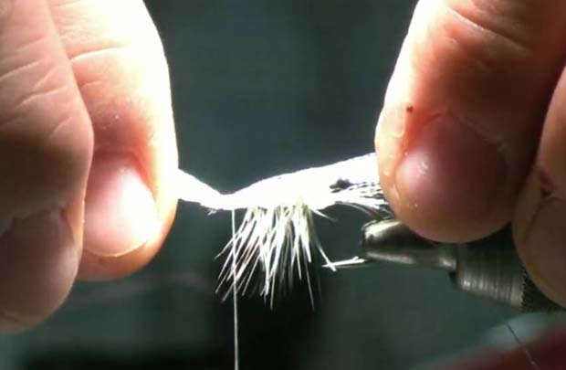 Video: Crystal Flash Shrimp – easy to tie and oft eaten