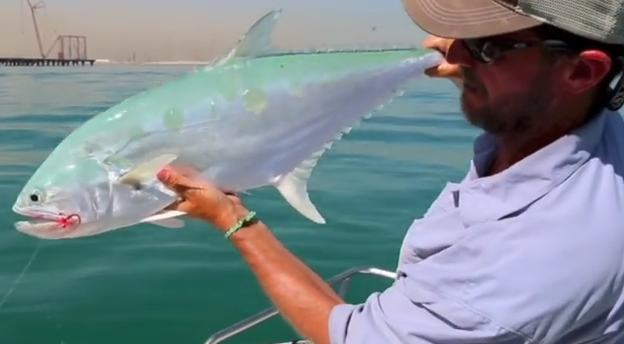 Video: Dubai Queenfish on the fly