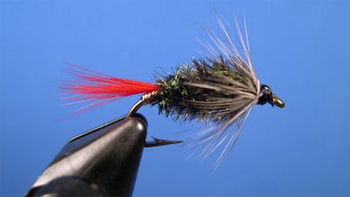 This is a more full body tie like Carl Goldman ties.  Image credit Still Water Fly Tyers.com.
