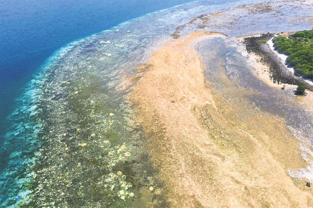 News: Coral bleaching devastates Austrailia’s Great Barrier Reef