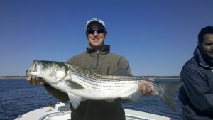 Adult bass caught near the EEZ. Photo by Derr.