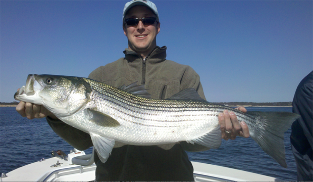 Conservation: ASMFC striped bass advisors to discuss opening EEZ on April 21