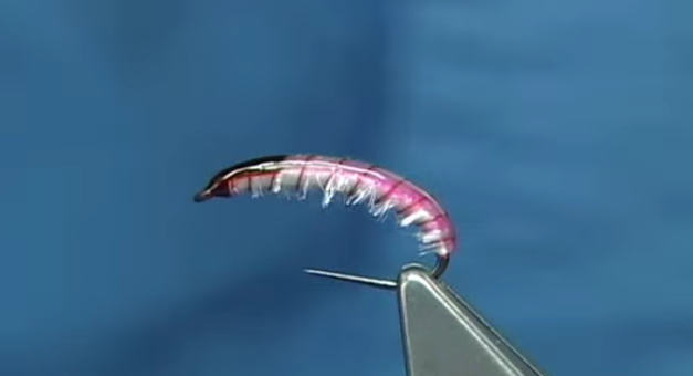 At The Vise: The McPhail Pink Bug – a stellar little caddis pattern