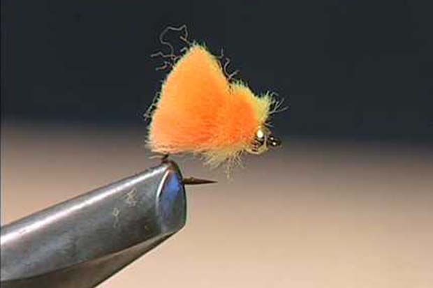 Fly Tying: Egg patterns work so well some call it cheating