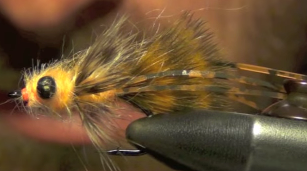 At The Vise: Barry's Carp Bitter - Fly Life Magazine