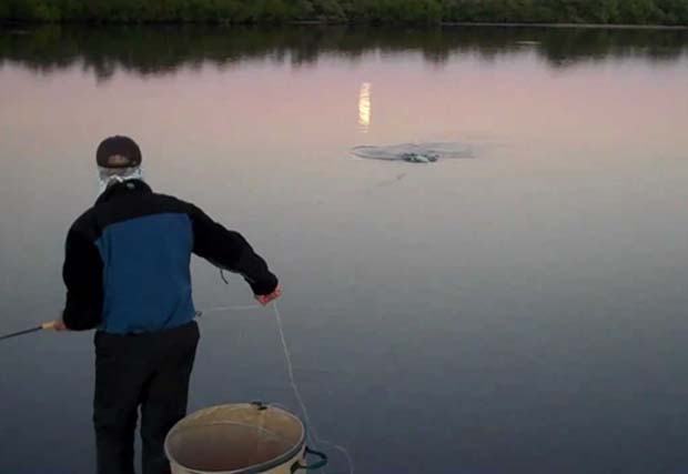 Worth Knowing: Use moon phases, early and late fishing to catch more pescados